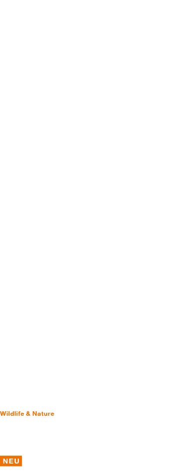 Massive Africa Die Wildnis Afrikas hat bis heute nichts von ihrer Faszination eingebüßt  Auch im 21  Jahrhundert gibt   