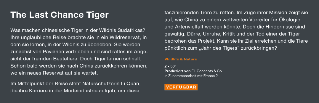 The Last Chance Tiger Was machen chinesische Tiger in der Wildnis Südafrikas  Ihre unglaubliche Reise brachte sie in    