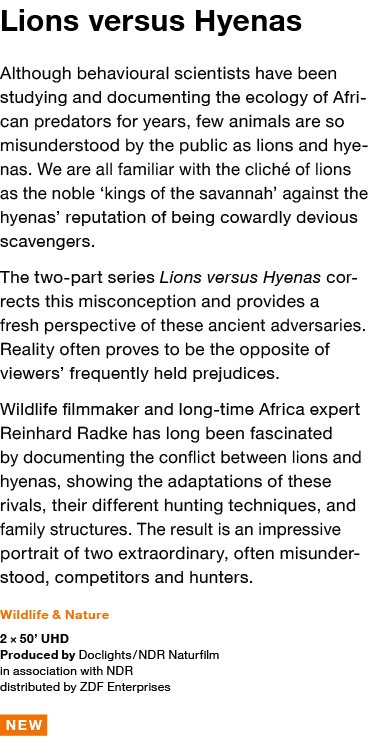 Lions versus Hyenas Although behavioural scientists have been studying and documenting the ecology of African predato   