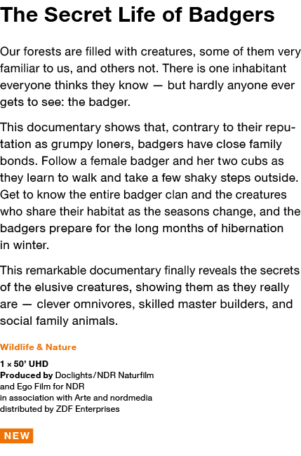 The Secret Life of Badgers Our forests are filled with creatures, some of them very familiar to us, and others not  T   