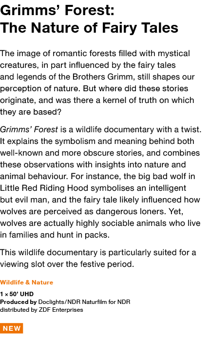 Grimms  Forest: The Nature of Fairy Tales The image of romantic forests filled with mystical creatures, in part influ   