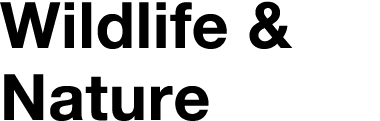Wildlife & Nature