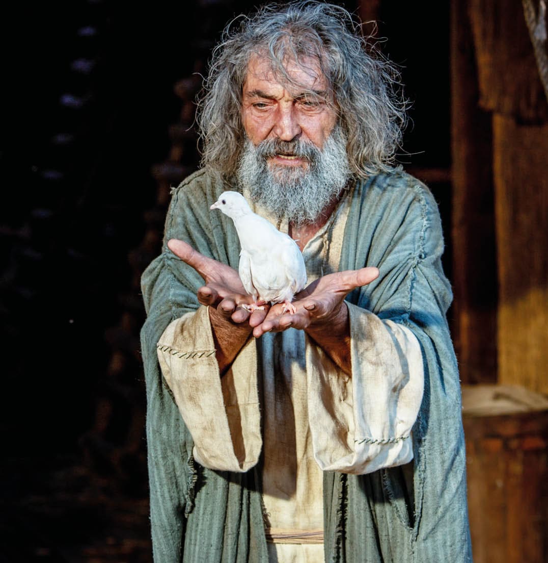 Der biblische Noah, eine gigantische Arche und eine alles vernichtende Sintflut  Ist das Ganze nur eine Legende, oder was steckt hinter dem Mythos 