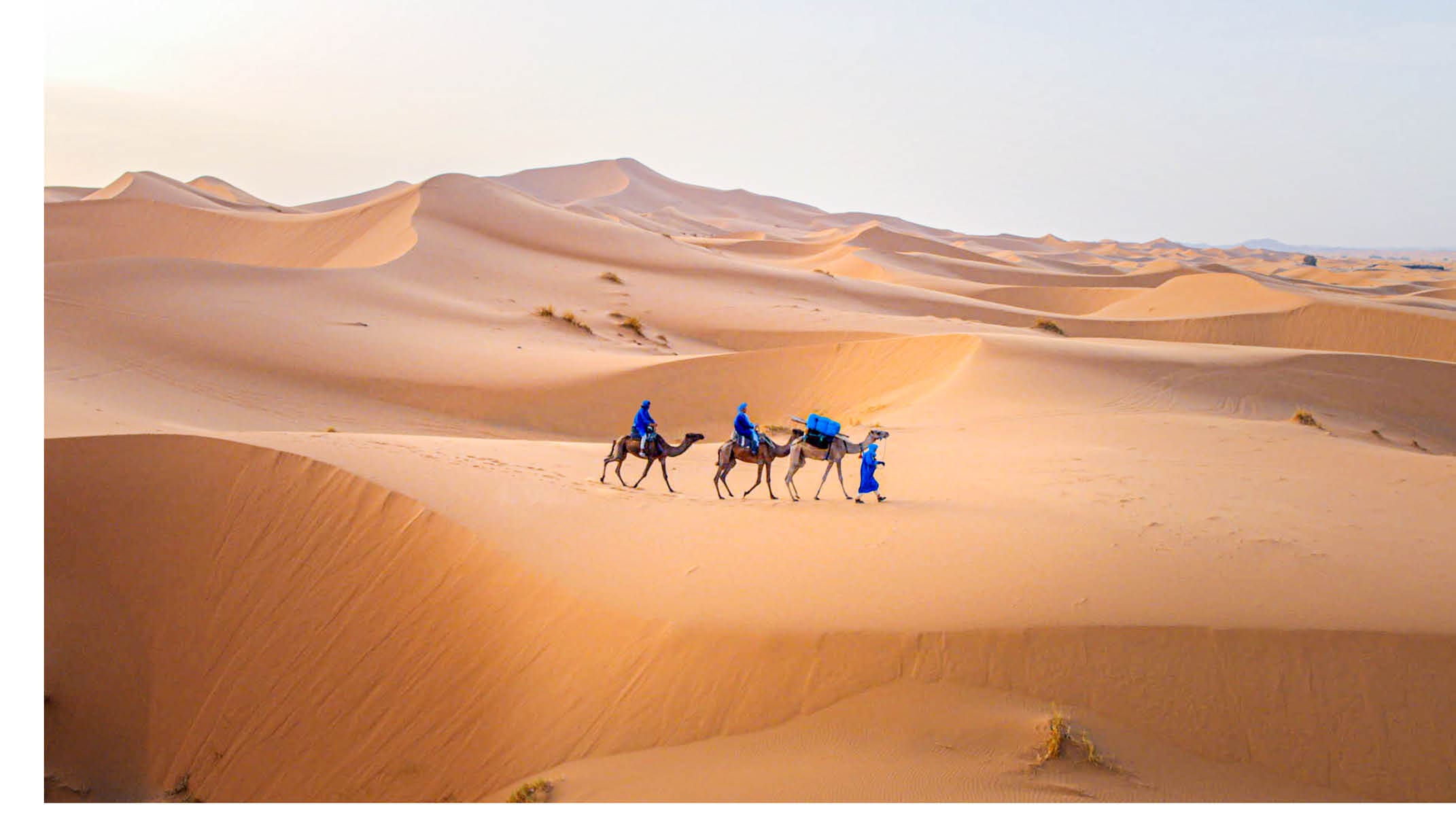 IN5_Titel_AFA_Key_Visuals-7RL tif