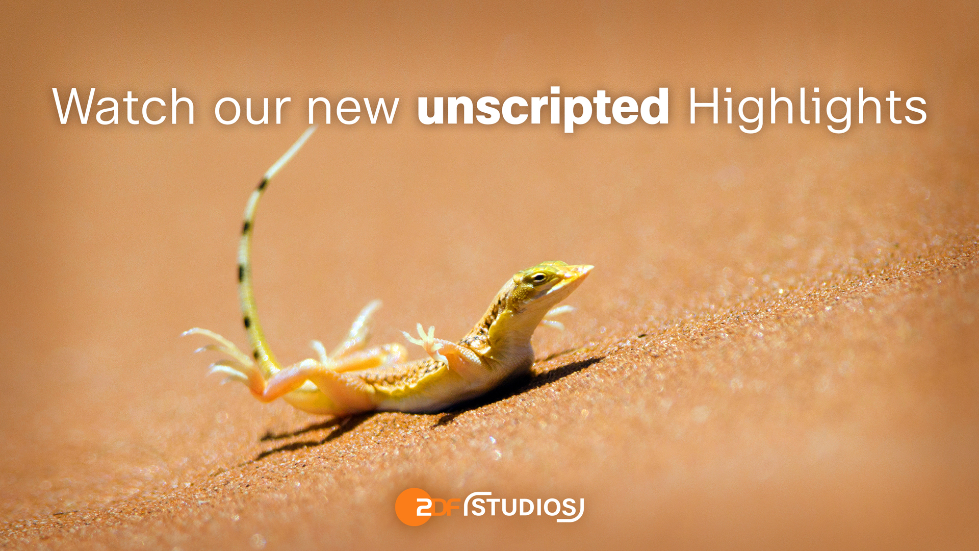 HT Unscripted Trailer 2025