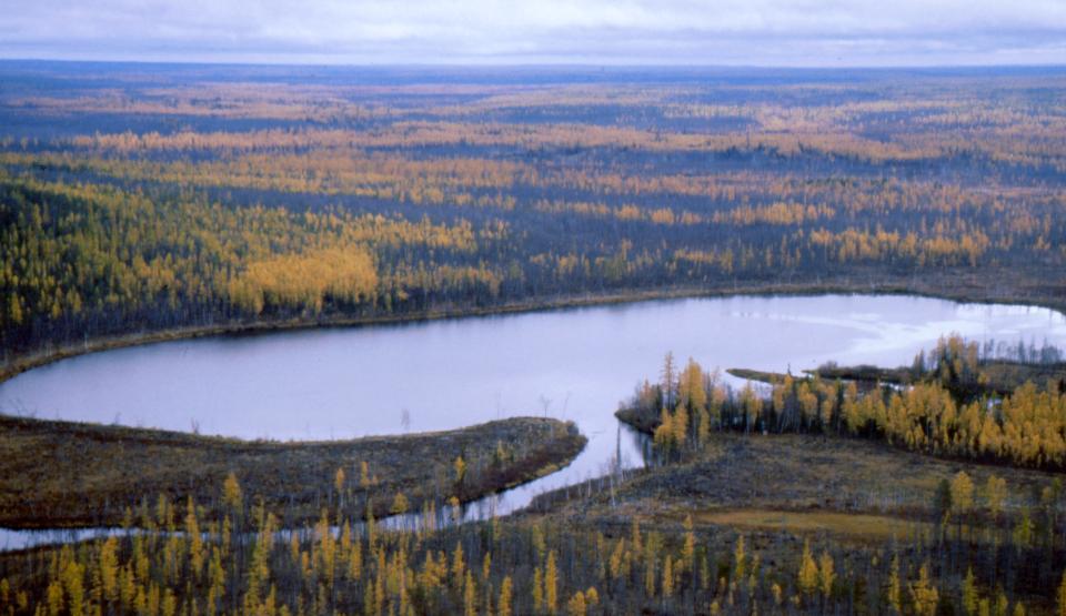 Big Bang in Tunguska