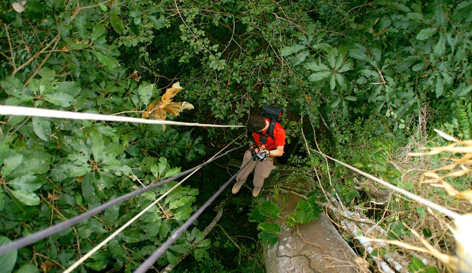 Mission Treetop