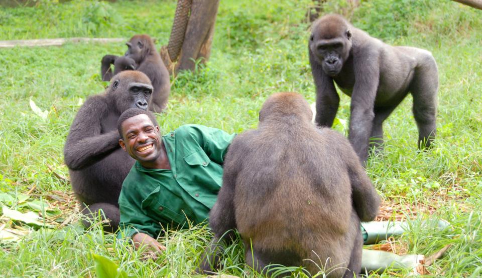 Bama and the Lost Gorillas