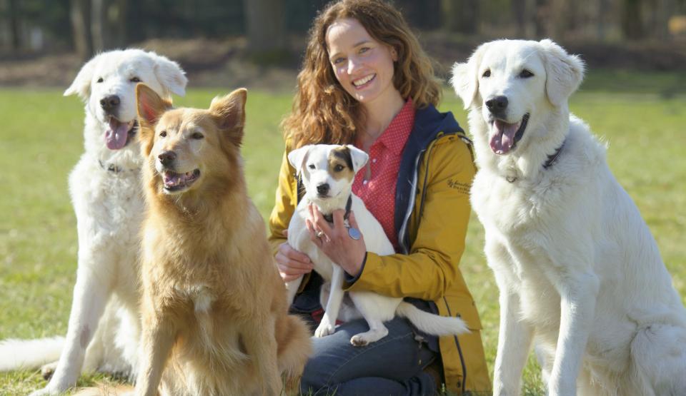 The Pet Check