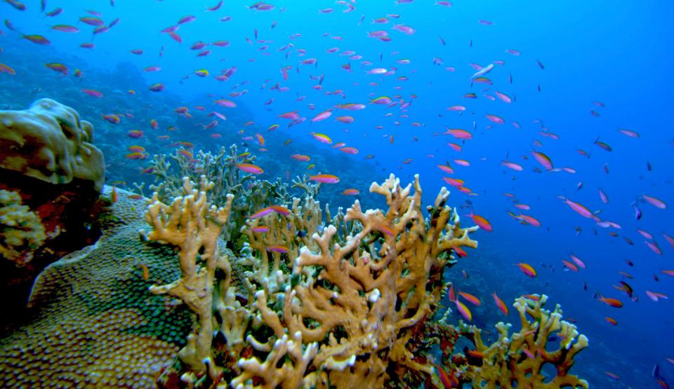 Deep Ocean