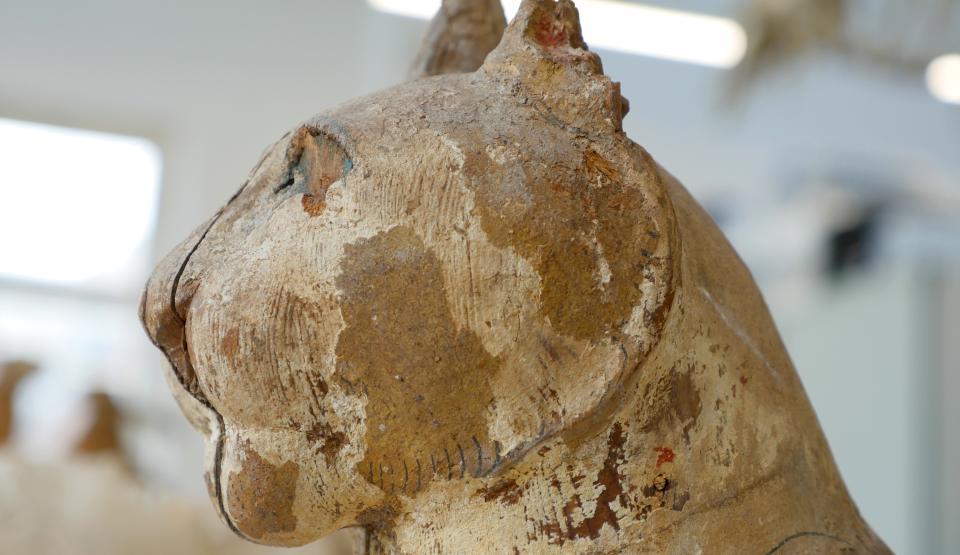 The Secret of the Animal Mummies