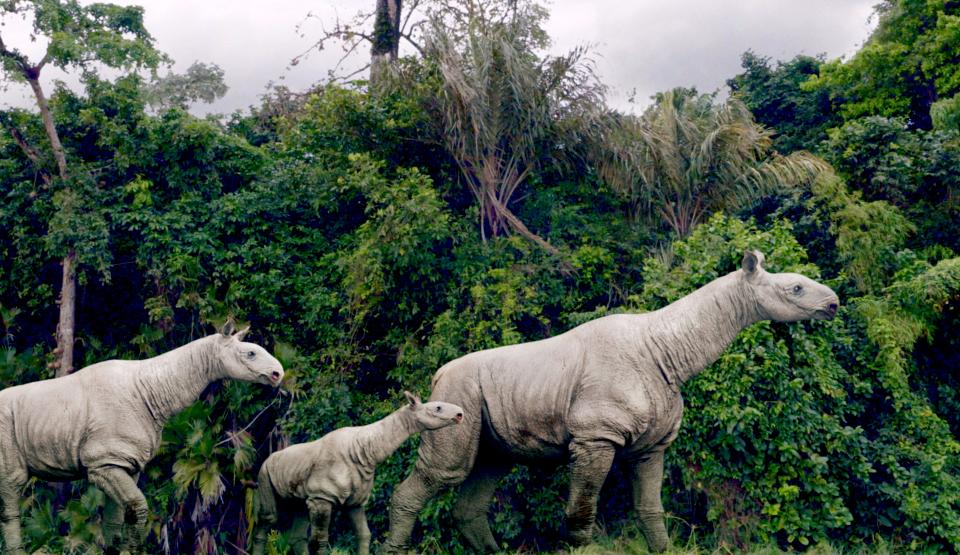 Megafauna: The Mysteries of the Lost Giants