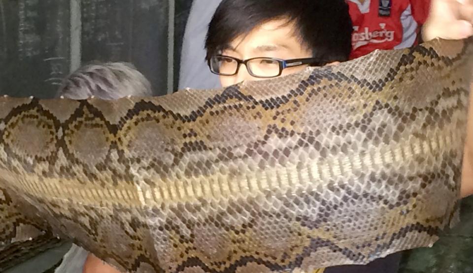 Snakeskins for Luxury Goods: The Python Code 