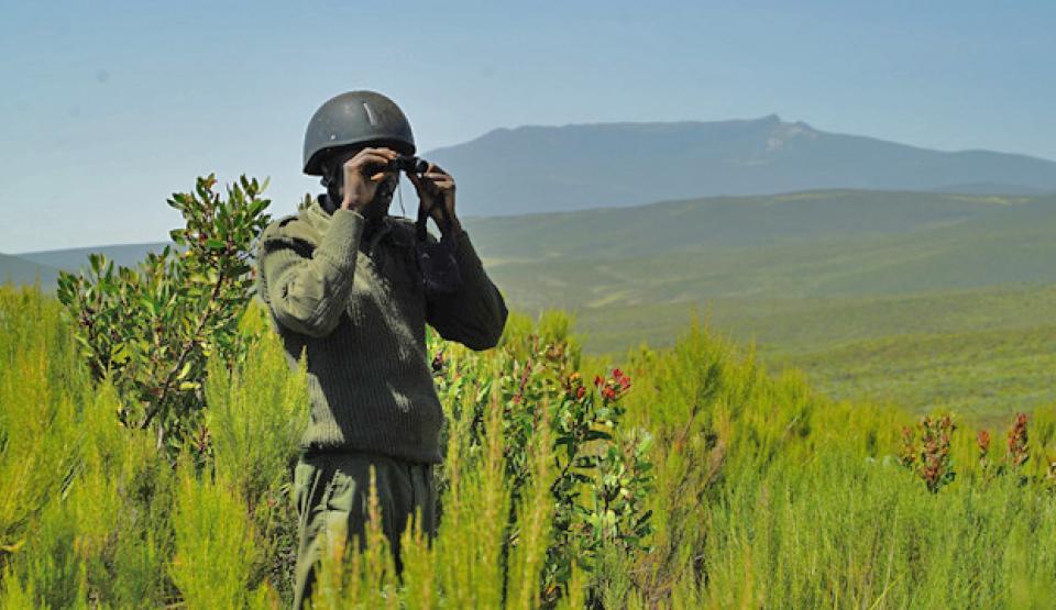 Kenya: Ivory, Harmony