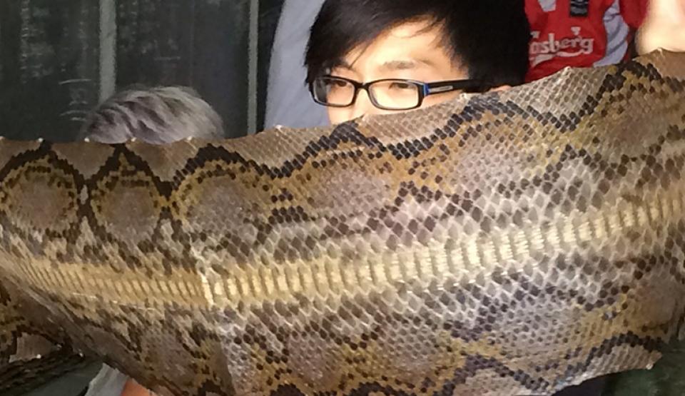 Snakeskins for Luxury Goods: The Python Code 