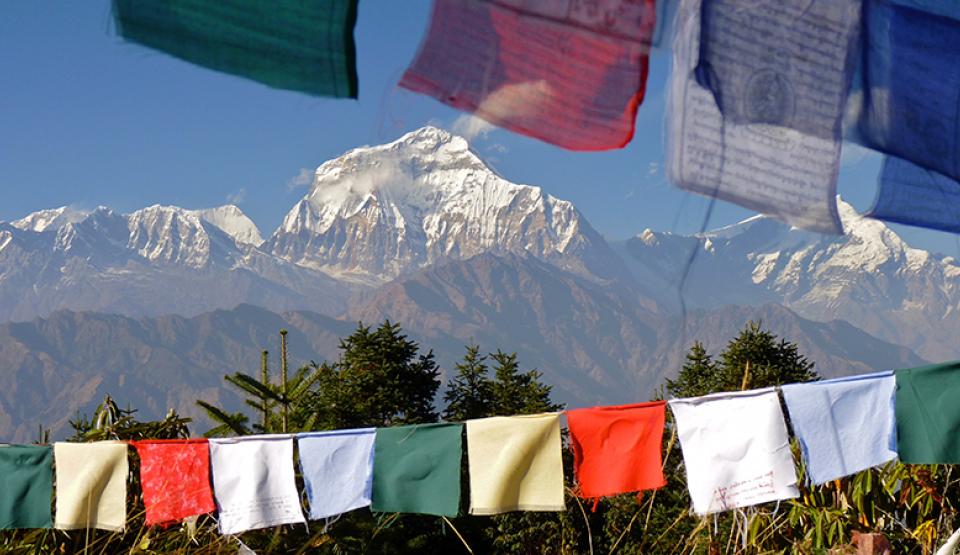 The Himalaya Connection