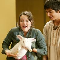Rabbit Season (eps. 3)