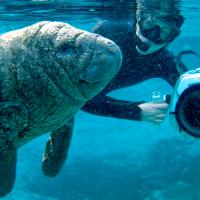 Manatees and Molas (Episode 2)