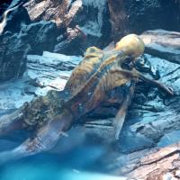 Ötzi the Iceman (Episode 2)