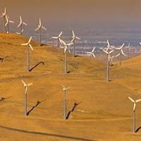 Eco - boom in California
