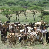 Momella - A Farm in Africa