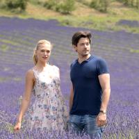 A Summer in Southern France
