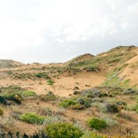 Arid Lands (Episode 5)