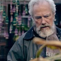 Wood for the Trees (eps. 8)