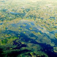 Okavango River (Episode 4)