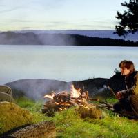 The Secret of Svenaholm