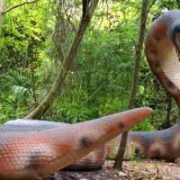 Titanoboa & Baluchithere dependent on their Environment (Episode 1)