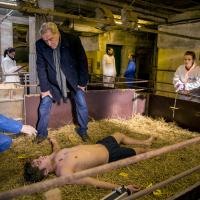 Death in the Pigsty