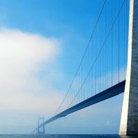 Suspension Bridges 