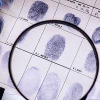 Criminalistics