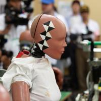 Crash Test Dummies