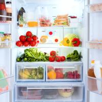 The Fridge
