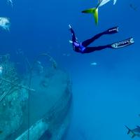 24 Hours on the Reef (Episode 5)