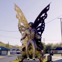 Searching for Mothman