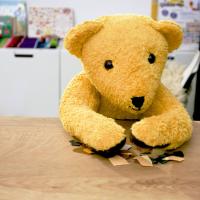 Bear Collage