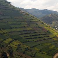 Africa from Above: Uganda (eps. 5)