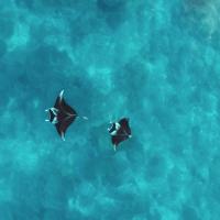 Africa from Above: Mozambique (eps. 8)