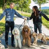 Frühling: Auf den Hund gekommen