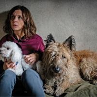 Nord Nord Mord - Sievers und der verlorene Hund