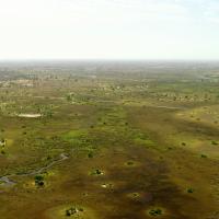 Massive Africa - Okavango Delta (Episode 3)