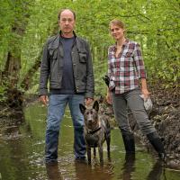 Wendland - Stiller und der Wolf im Schafspelz