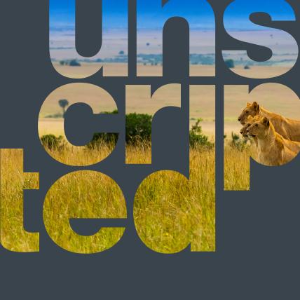 cover website mipcom 2023 unscripted