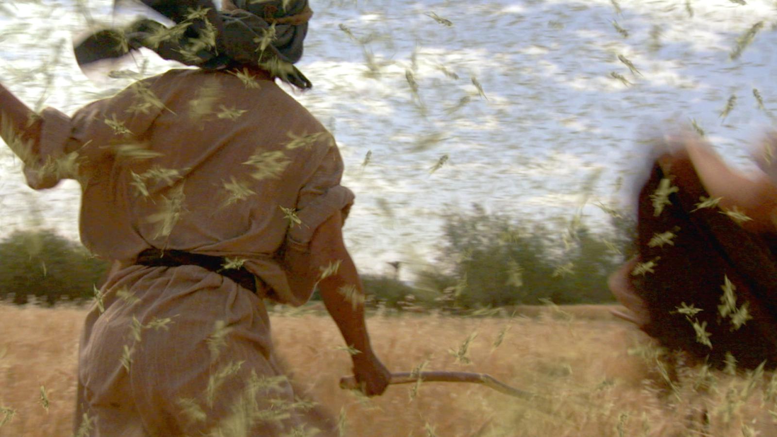 Darkness over Egypt (Episode 2)