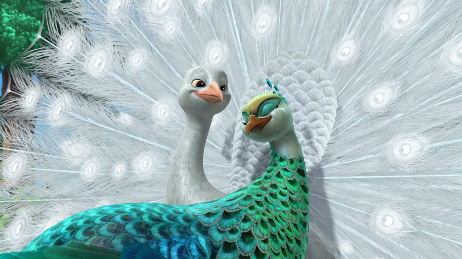 Pavo, the Peacock