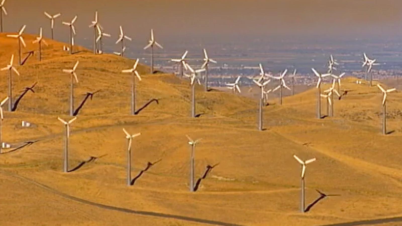 Eco - boom in California