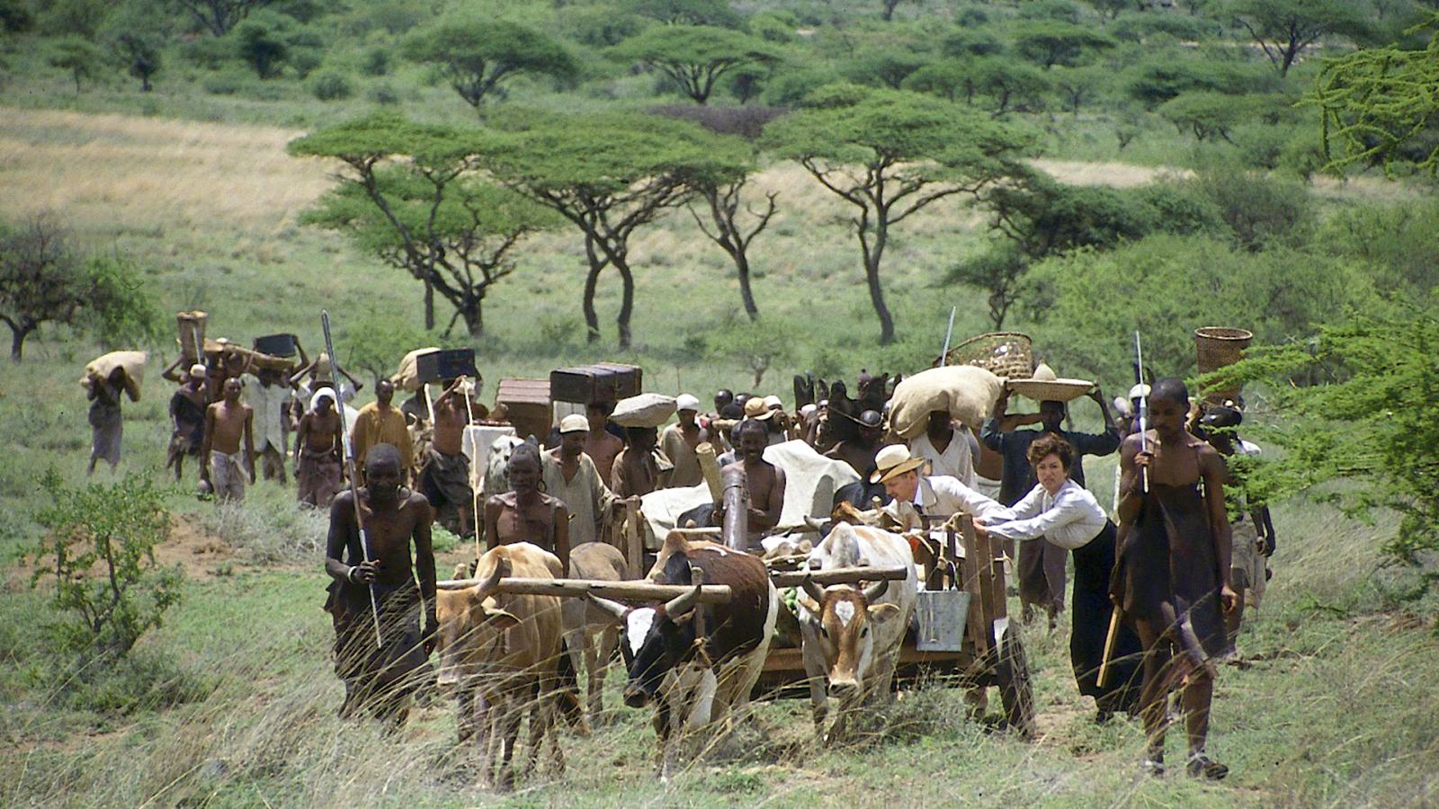 Momella - A Farm in Africa